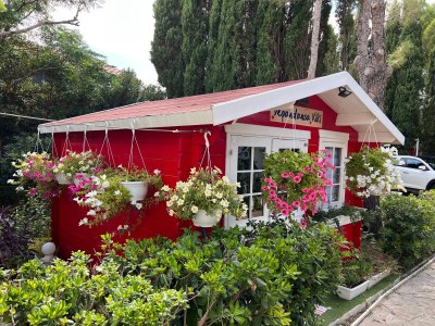 Holiday room with air-conditioning Nin, Zadar S-5858-a - Outdoor photo 26