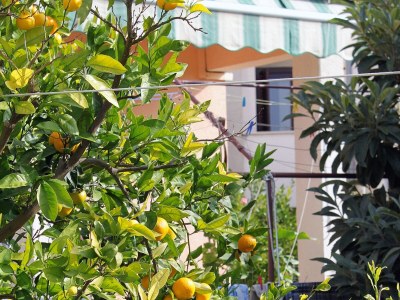 Apartment One bedroom apartment Zadar - Diklo, Zadar A-5880-f - Outdoor photo 8