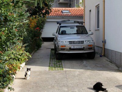 Apartment One bedroom apartment Zadar - Diklo, Zadar A-5880-f - Outdoor photo 11