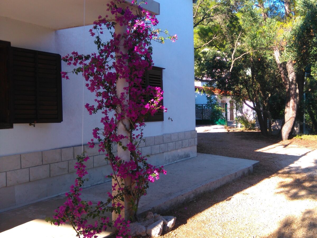 Holiday house Two bedroom house with terrace and sea view Mokalo, Pelješac K-12137 - Outdoor photo 3