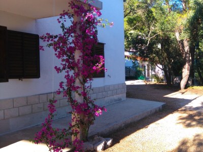 Holiday house Two bedroom house with terrace and sea view Mokalo, Pelješac K-12137 - Outdoor photo 3