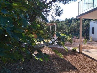 Holiday house Two bedroom house with terrace and sea view Mokalo, Pelješac K-12137 - Outdoor photo 7