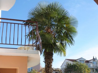 Apartment Two bedroom apartment with terrace Biograd na Moru, Biograd A-5899-a - Outdoor photo 6