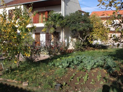 Apartment Two bedroom apartment with terrace Biograd na Moru, Biograd A-5899-a - Outdoor photo 7