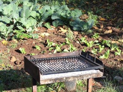 Apartment Two bedroom apartment with terrace Biograd na Moru, Biograd A-5899-a - Outdoor photo 11