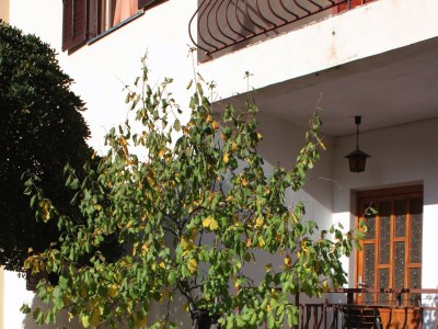 Apartment Two bedroom apartment with terrace Biograd na Moru, Biograd A-5899-d - Outdoor photo 9