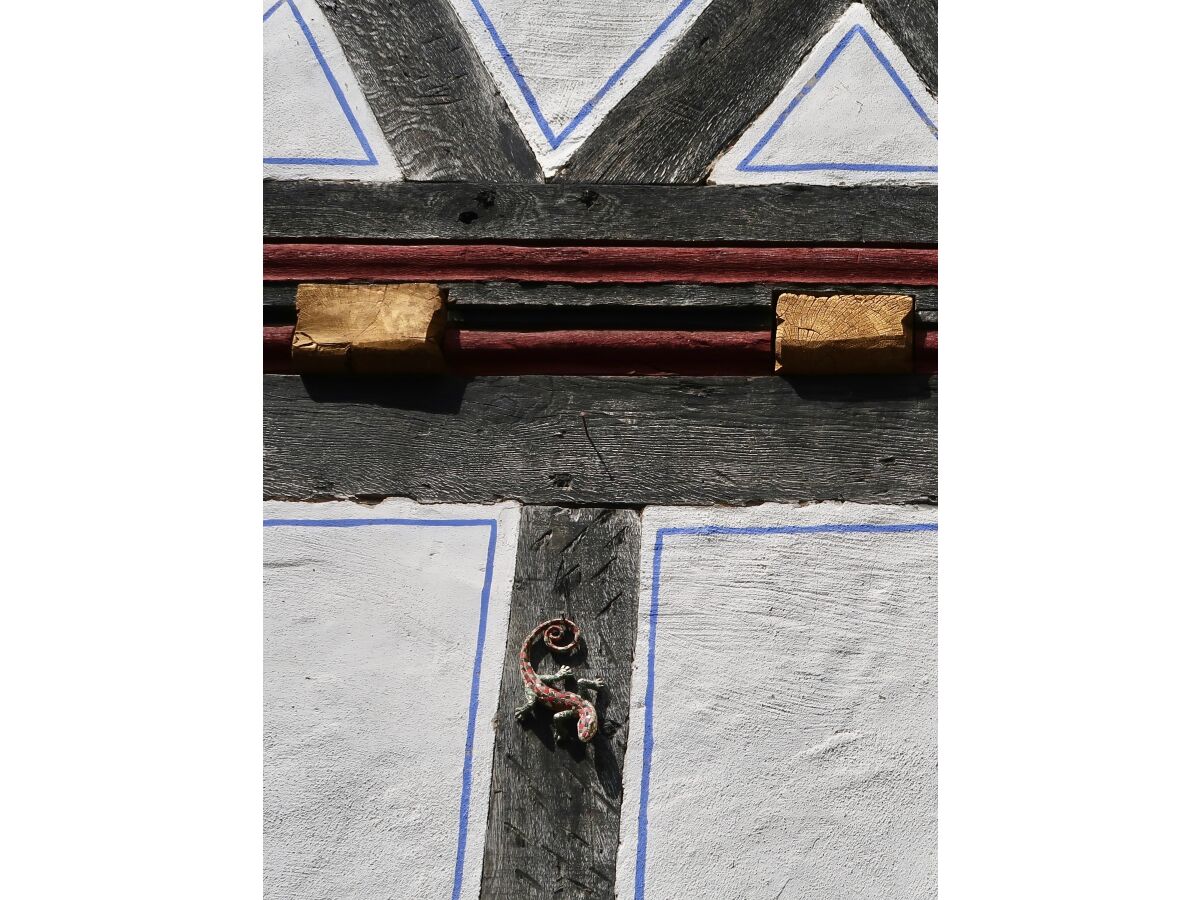 Holiday apartment "WaldrebenNest" im Fachwerkhof - Outdoor photo 2