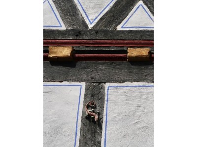 Holiday apartment "WaldrebenNest" im Fachwerkhof - Outdoor photo 2