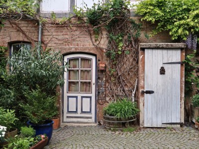 Holiday apartment "WaldrebenNest" im Fachwerkhof - Outdoor photo 6