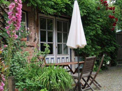 Holiday apartment "WaldrebenNest" im Fachwerkhof - Outdoor photo 7