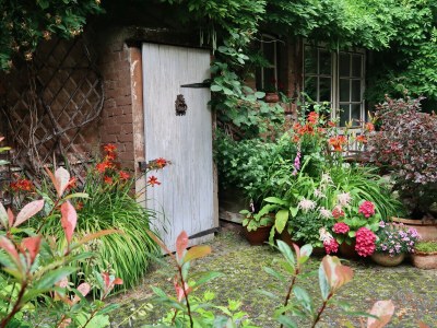 Holiday apartment "WaldrebenNest" im Fachwerkhof - Outdoor photo 9