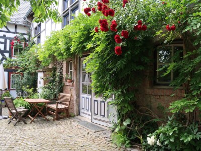 Holiday apartment "WaldrebenNest" im Fachwerkhof - Outdoor photo 11