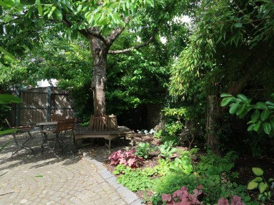 Holiday apartment "WaldrebenNest" im Fachwerkhof - Outdoor photo 13