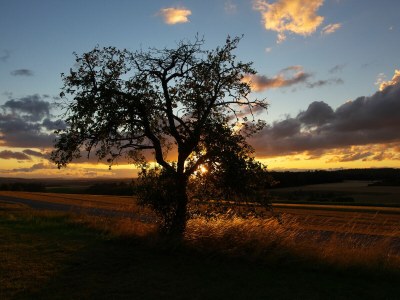 Holiday apartment "WaldrebenNest" im Fachwerkhof - Environment photo 23