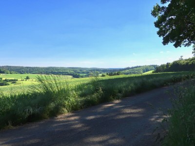 Holiday apartment "WaldrebenNest" im Fachwerkhof - Environment photo 24