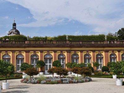 Holiday apartment "WaldrebenNest" im Fachwerkhof - Environment photo 27