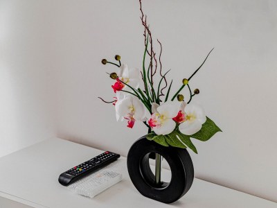 Holiday house Seaside holiday house Cove Blaca, Korčula - 21444 - Seaside holiday house Cove Blaca, Korčula - 21444 - Outdoor photo 28