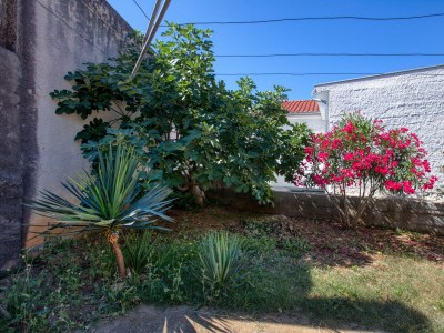 Apartment Three bedroom apartment with balcony Tisno, Murter A-21405-a - Outdoor photo 10