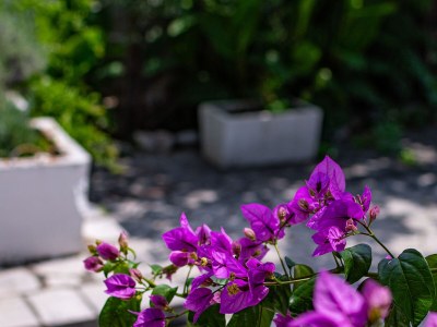 Apartment Studio flat with terrace Crikvenica AS-21501-a - Outdoor photo 32