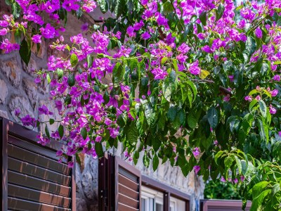 Apartment Studio flat with terrace Crikvenica AS-21501-a - Outdoor photo 33