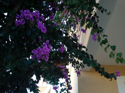 Apartment Two bedroom apartment with terrace and sea view Ražanj, Rogoznica A-22062-a - Outdoor photo 8