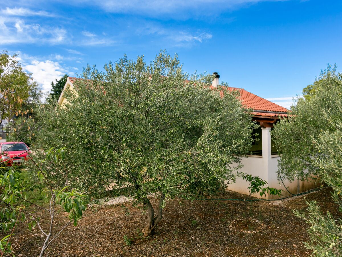 Holiday house Holiday house with a parking space Mirca, Brač - 22257 - Holiday house with a parking space Mirca, Brač - 22257 - Outdoor photo 4