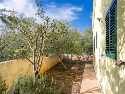 Holiday house Holiday house with a parking space Mirca, Brač - 22257 - Holiday house with a parking space Mirca, Brač - 22257 - Outdoor photo 10