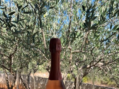 Holiday house Holiday house with a parking space Mirca, Brač - 22257 - Holiday house with a parking space Mirca, Brač - 22257 - Outdoor photo 40