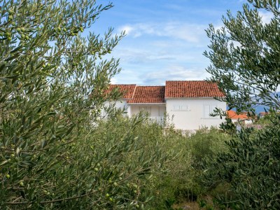 Holiday house Holiday house with a parking space Mirca, Brač - 22257 - Holiday house with a parking space Mirca, Brač - 22257 - Outdoor photo 41