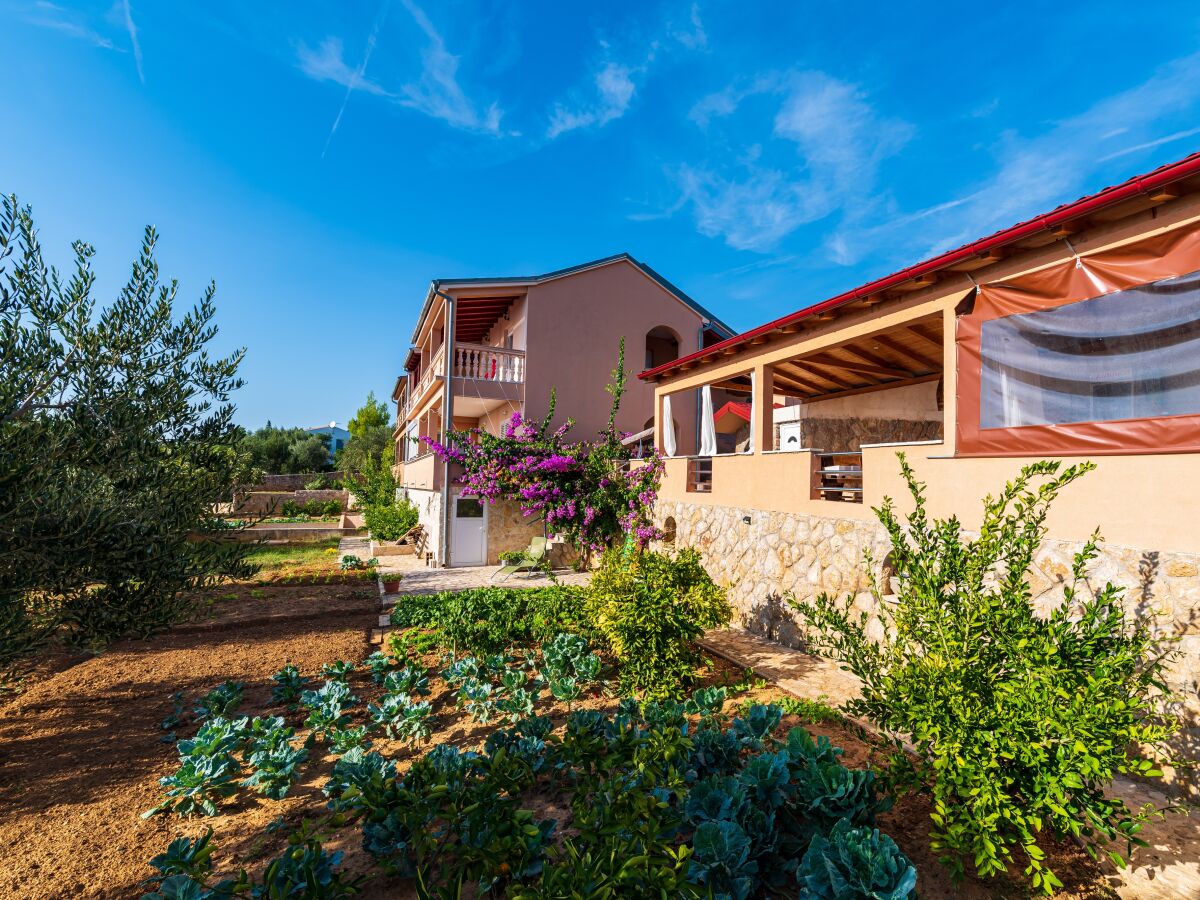 Apartment Three bedroom apartment near beach Maslenica, Novigrad A-21903-a - Outdoor photo 3