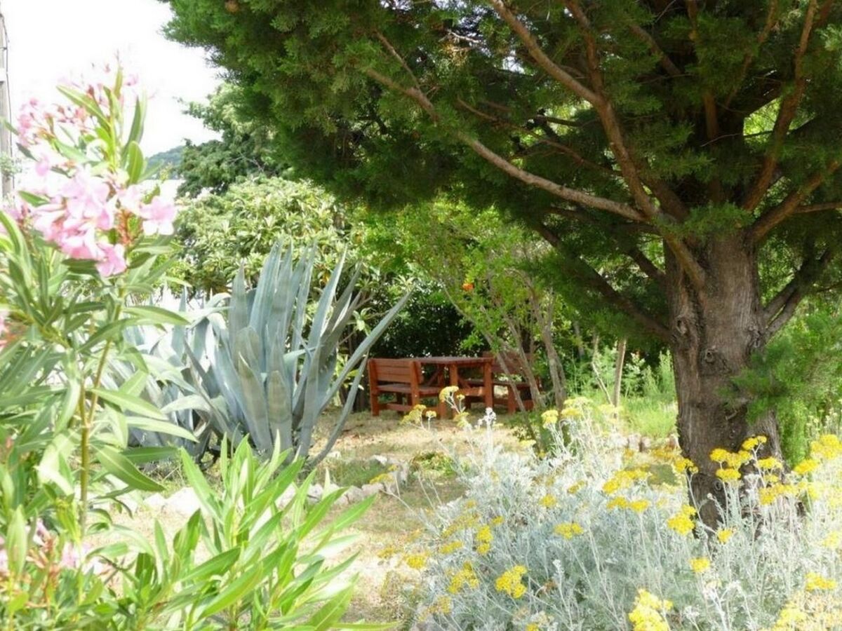 Apartment Three bedroom apartment with terrace Barbat, Rab A-22423-a