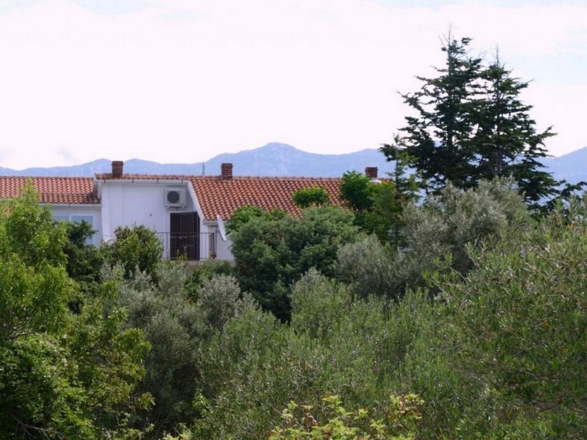 Apartment Three bedroom apartment with terrace Barbat, Rab A-22423-a - Outdoor photo 3