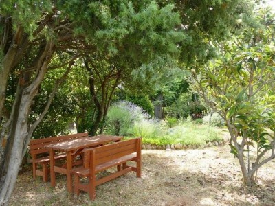 Apartment Three bedroom apartment with terrace Barbat, Rab A-22423-a - Outdoor photo 5