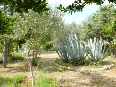 Apartment Three bedroom apartment with terrace Barbat, Rab A-22423-a - Outdoor photo 9