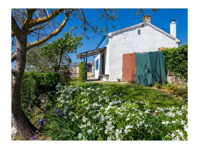 Holiday house One bedroom house with terrace Vinež, Labin K-22240 - Outdoor photo 6