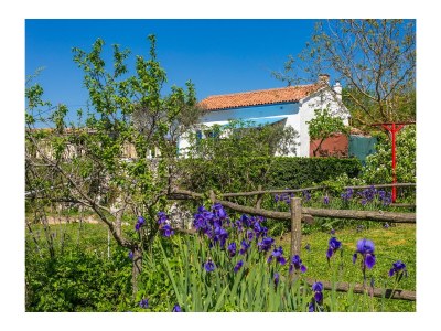 Holiday house One bedroom house with terrace Vinež, Labin K-22240 - Outdoor photo 7