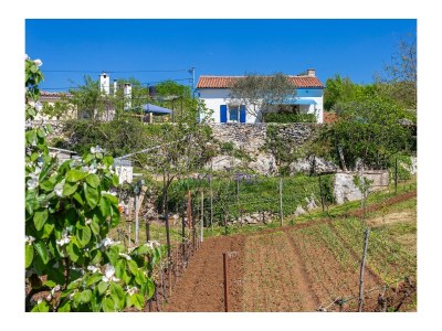 Holiday house One bedroom house with terrace Vinež, Labin K-22240 - Outdoor photo 8