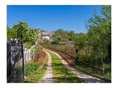 Holiday house One bedroom house with terrace Vinež, Labin K-22240 - Outdoor photo 9