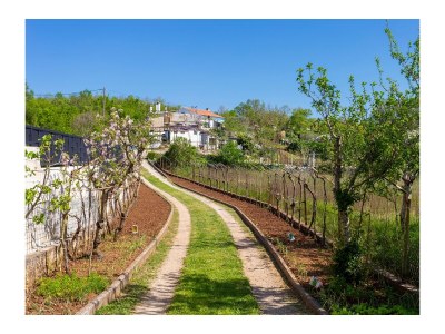 Holiday house One bedroom house with terrace Vinež, Labin K-22240 - Outdoor photo 10
