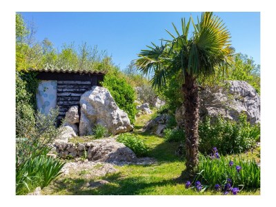 Holiday house One bedroom house with terrace Vinež, Labin K-22240 - Outdoor photo 17