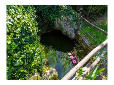 Holiday house One bedroom house with terrace Vinež, Labin K-22240 - Outdoor photo 18