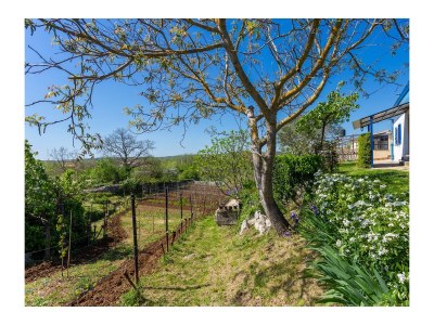 Holiday house One bedroom house with terrace Vinež, Labin K-22240 - Outdoor photo 22
