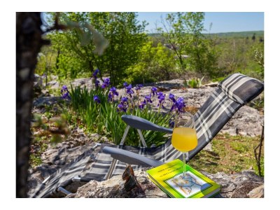 Holiday house One bedroom house with terrace Vinež, Labin K-22240 - Outdoor photo 27