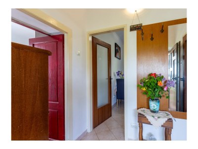 Holiday house One bedroom house with terrace Vinež, Labin K-22240 - Outdoor photo 45