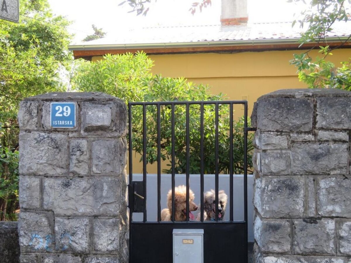 Apartment Three bedroom apartment with terrace and sea view Rijeka A-22429-a - Outdoor photo 5