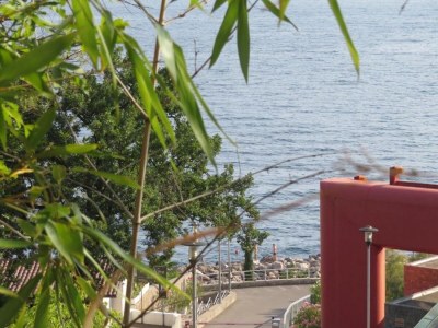 Apartment Three bedroom apartment with terrace and sea view Rijeka A-22429-a - Outdoor photo 29