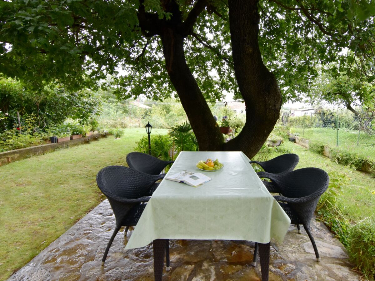 Apartment One bedroom apartment with terrace Babići, Umag A-22437-a - Outdoor photo 4