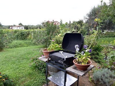 Apartment One bedroom apartment with terrace Babići, Umag A-22437-a - Outdoor photo 5