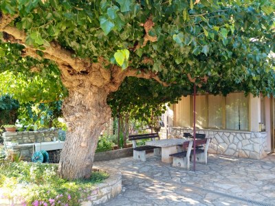 Apartment One bedroom apartment with terrace Babići, Umag A-22437-a - Outdoor photo 6