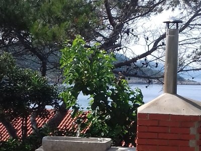 Apartment Studio flat with terrace and sea view Mali Lošinj, Lošinj AS-12591-a - Outdoor photo 10